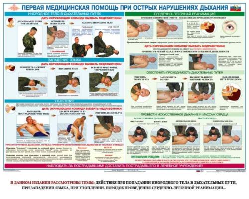 Плакат Первая доврачебная медицинская помощь (6 листов)