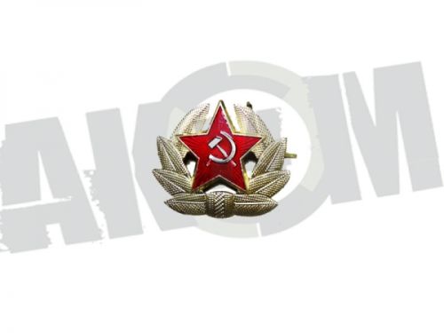 Кокарда СОЛДАТСКАЯ золотистая со звездой (серп и молот) ОРИГИНАЛ СССР