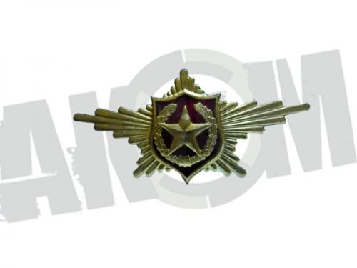 Знак "Рота Почетного Караула" ВВС ОРИГИНАЛ Россия